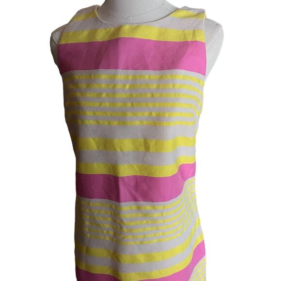 Ann Taylor Loft Corded Dobby Striped Sleeveless Shift Dress Barbiecore  Size 8 - Picture 2 of 8